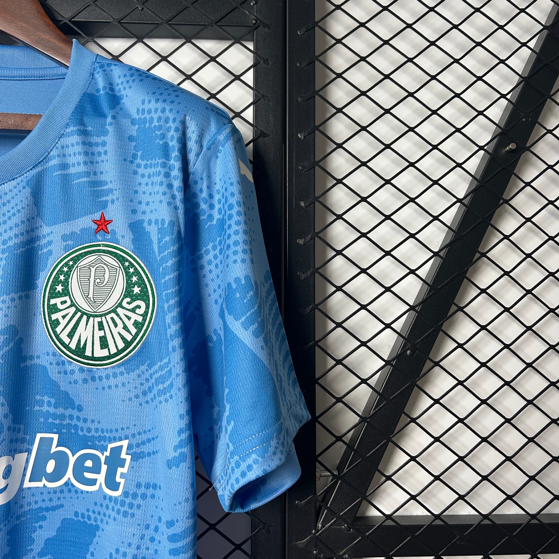 Palmeiras Goalkeeper 2025/26 - Blue Fan Version