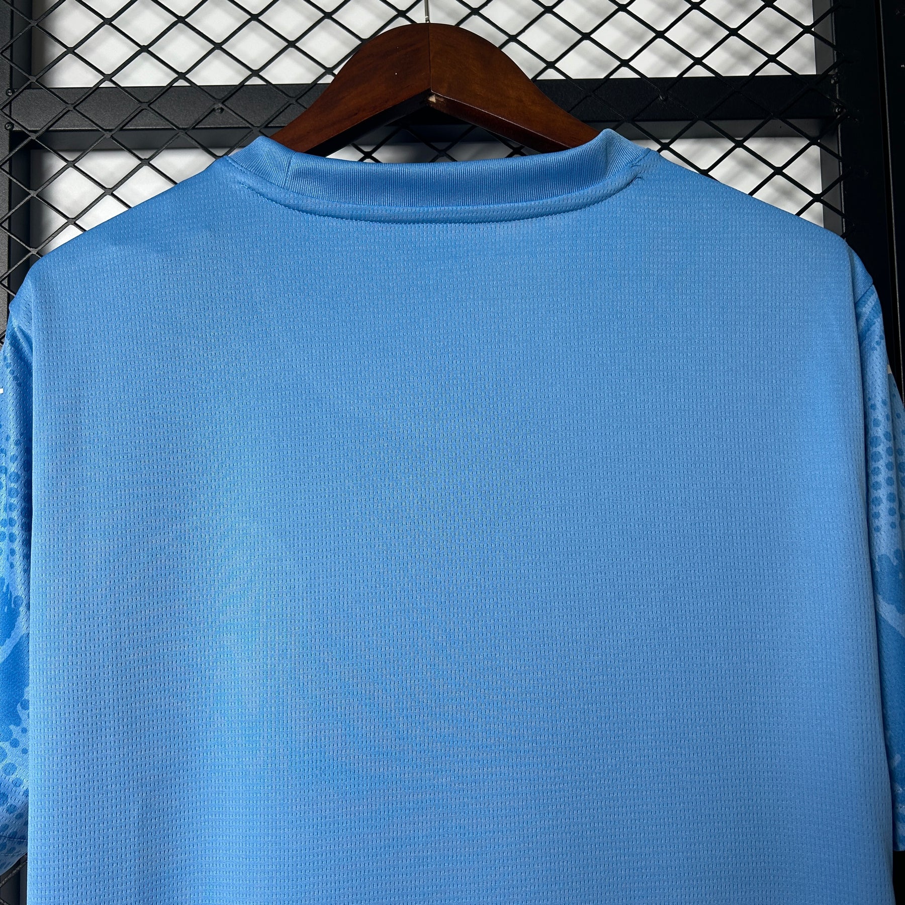 Palmeiras Goalkeeper 2025/26 - Blue Fan Version