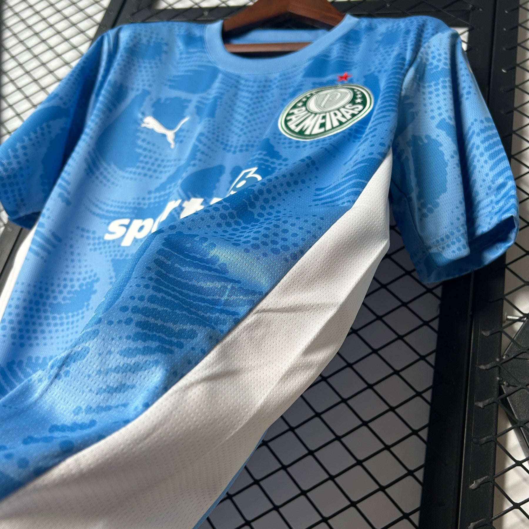 Palmeiras Goalkeeper 2025/26 - Blue Fan Version