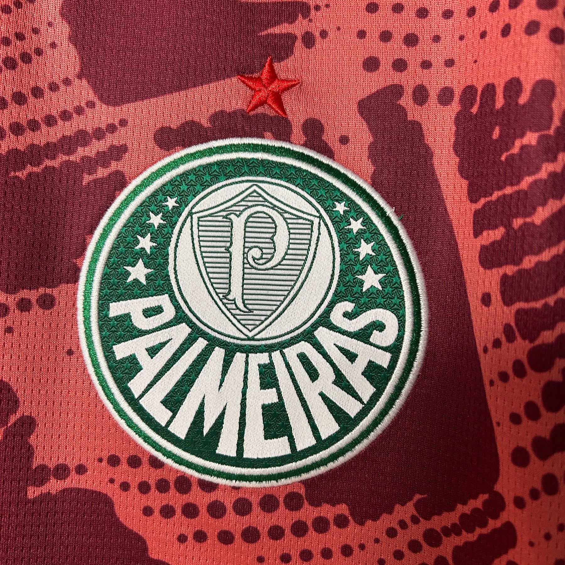 Palmeiras 25/26 Goalkeeper - Red Fan Version