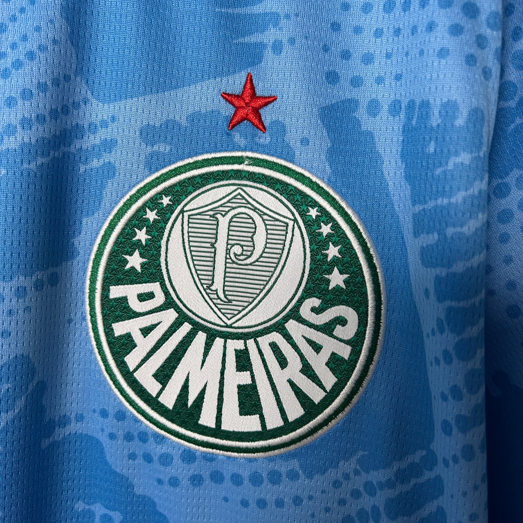 Palmeiras Goalkeeper 2025/26 - Blue Fan Version