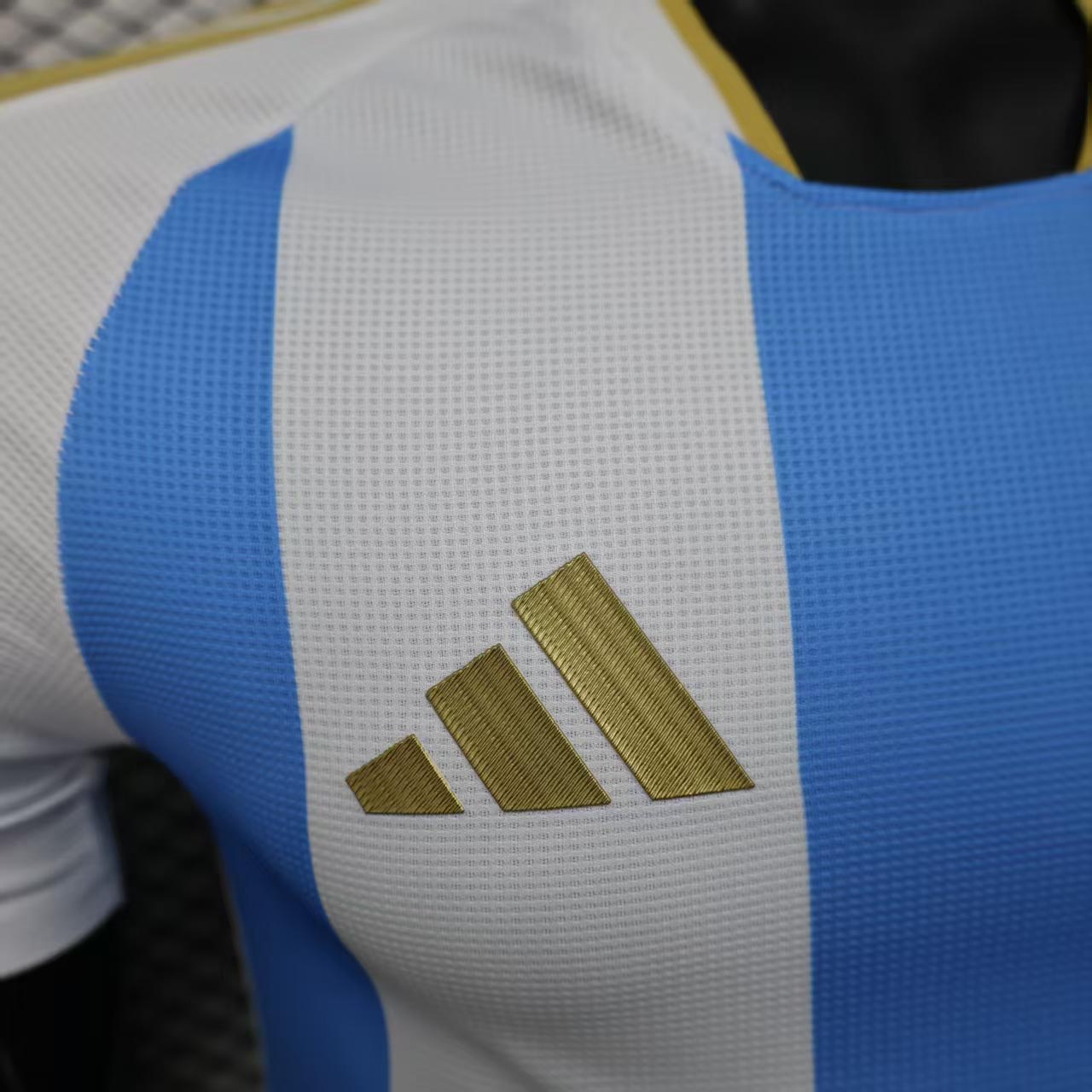 2025 Player Argentina Home - Slim Fit