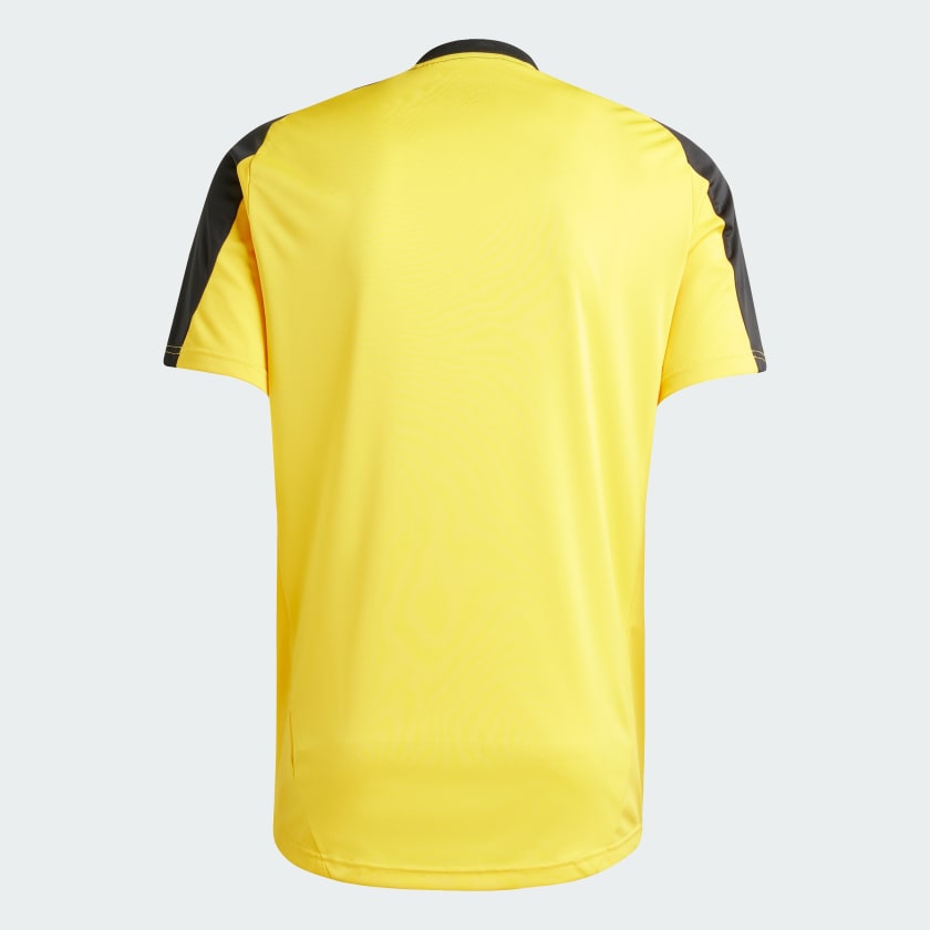 Camisa Treino Atlético Mineiro 2024/25