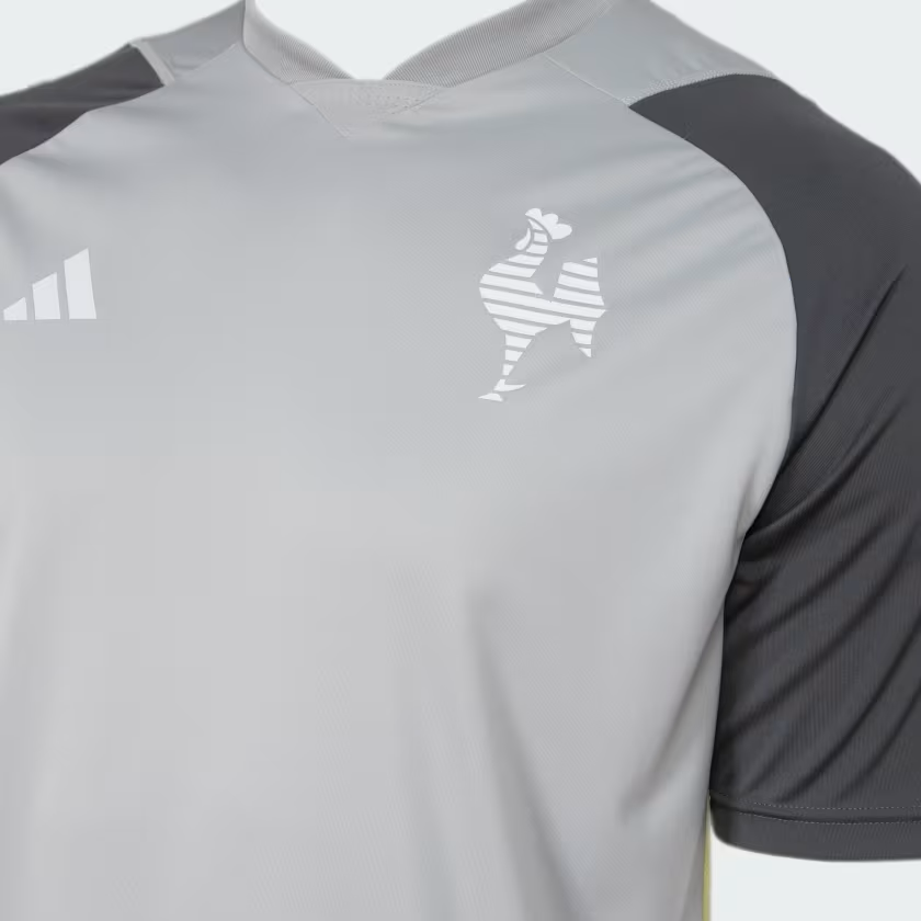 Camisa Atlético Mineiro Treino 2024
