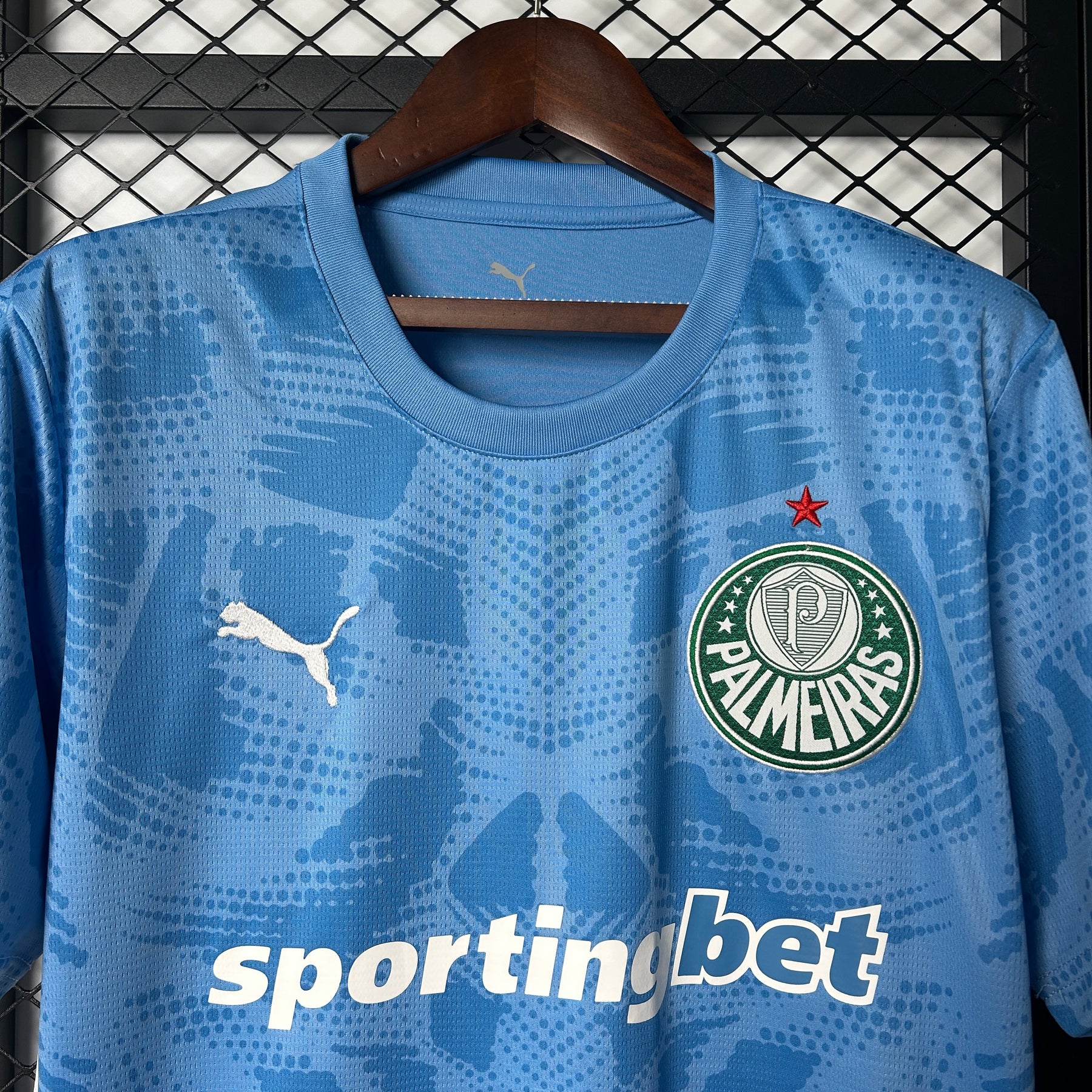 Palmeiras Goalkeeper 2025/26 - Blue Fan Version