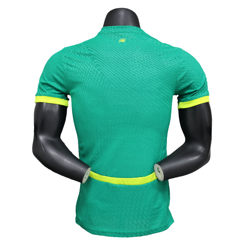 senegal-25-26-green-jersey-player-version-2