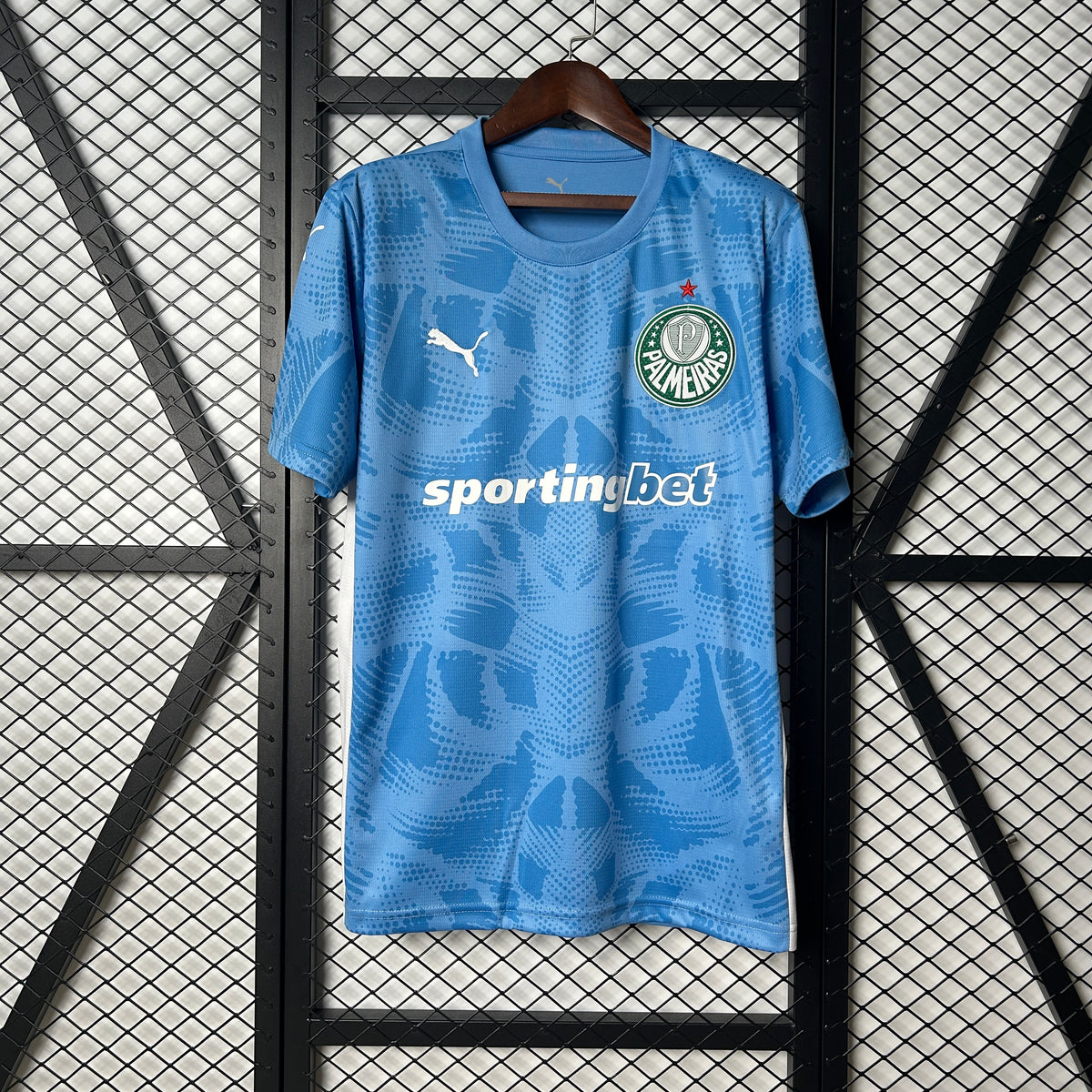 Palmeiras Goalkeeper 2025/26 - Blue Fan Version