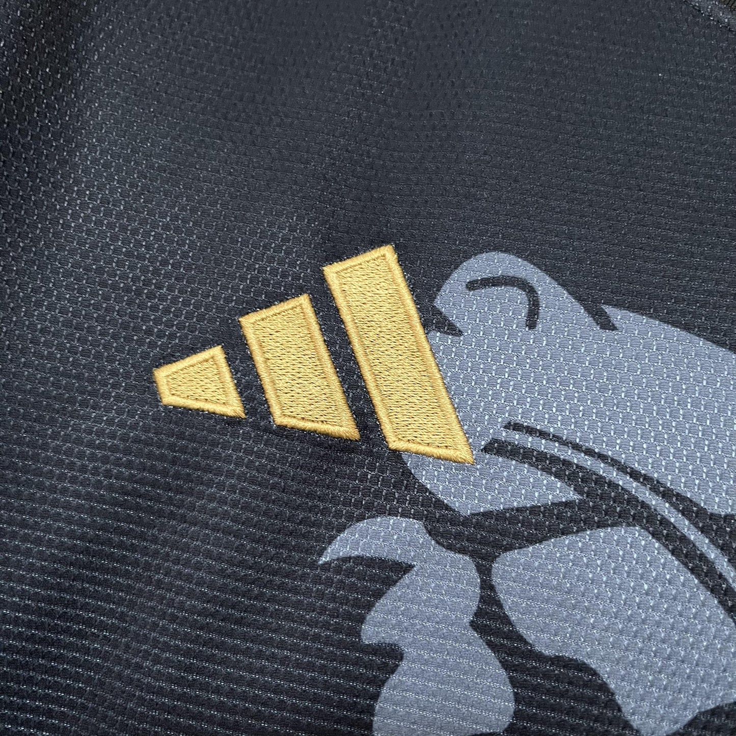 2025_26 Aston Villa Black Jersey