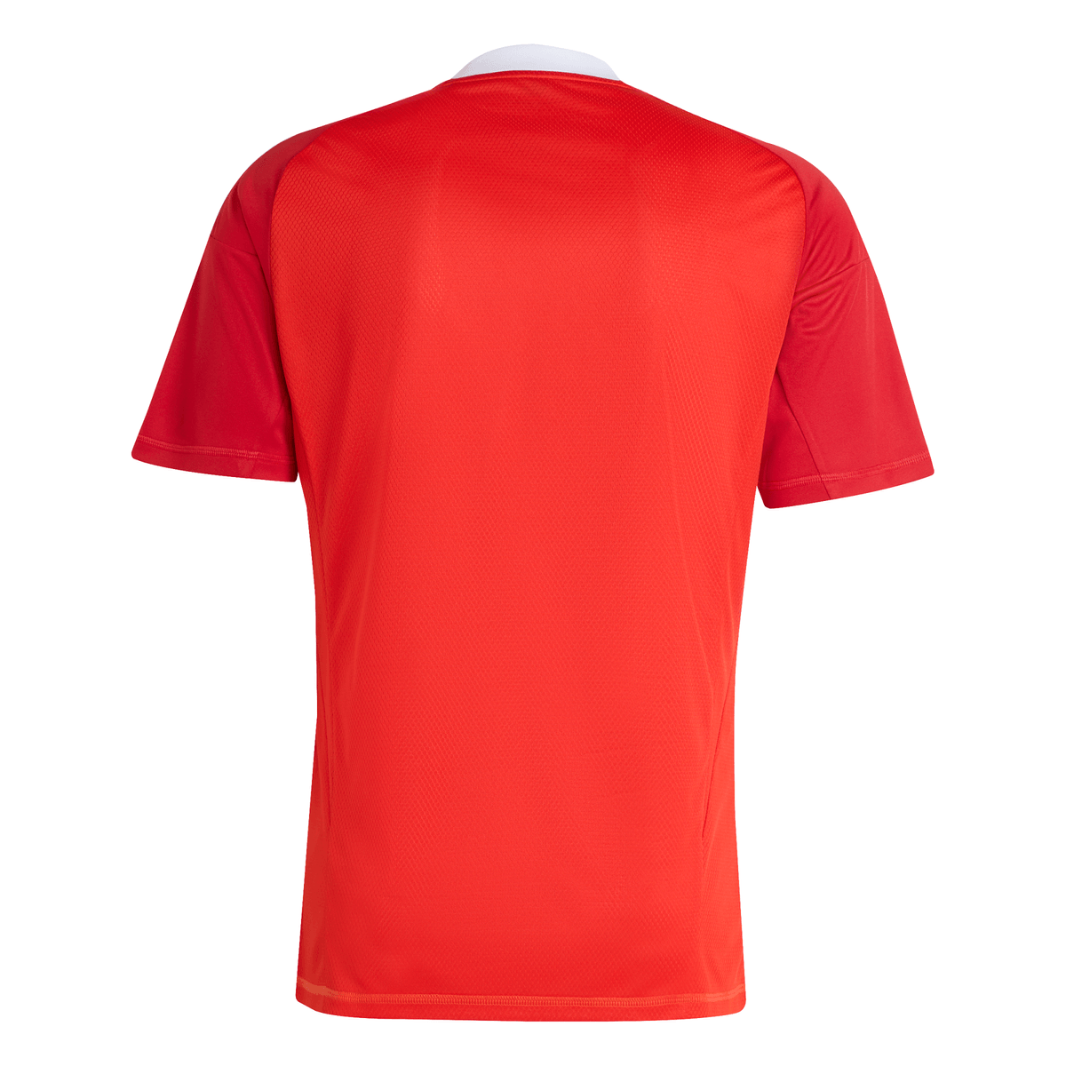 Manto Flamengo Goleiro 3 Adidas 2025 - Patrocinio Fan Version