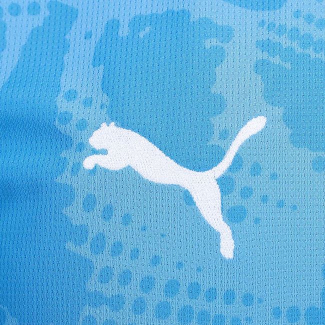 Palmeiras Goalkeeper 2025/26 - Blue Fan Version