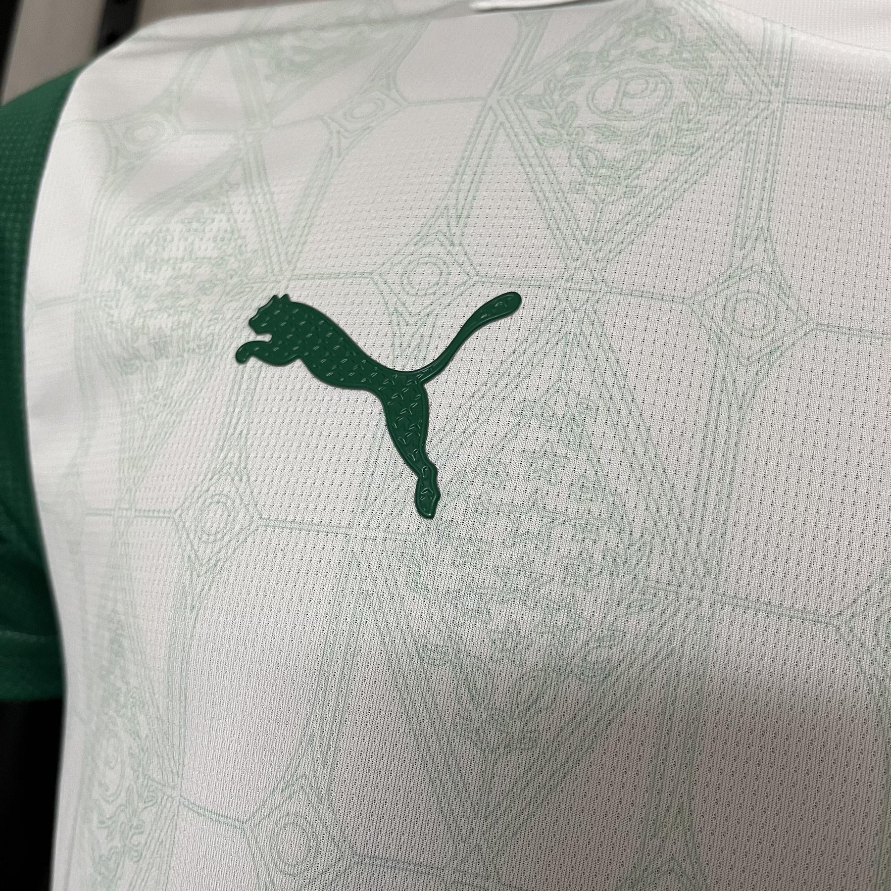 Palmeiras 2025/26 Player Away - [Slim Fit] - Slim Fit