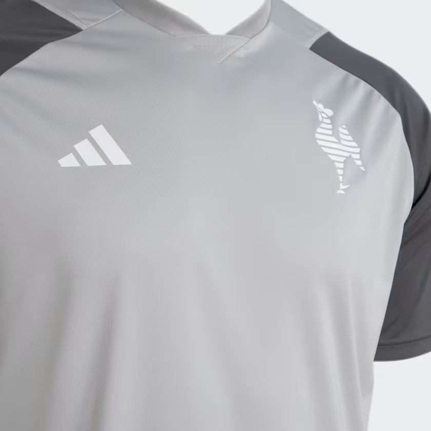 Camisa Atlético Mineiro Treino 2024