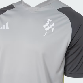 Camisa Atlético Mineiro Treino 2024