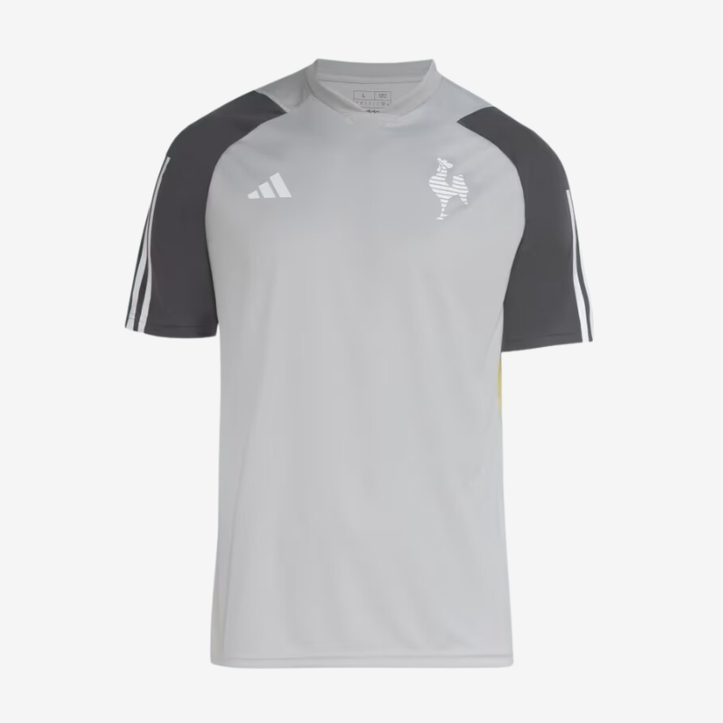 Camisa Atlético Mineiro Treino 2024