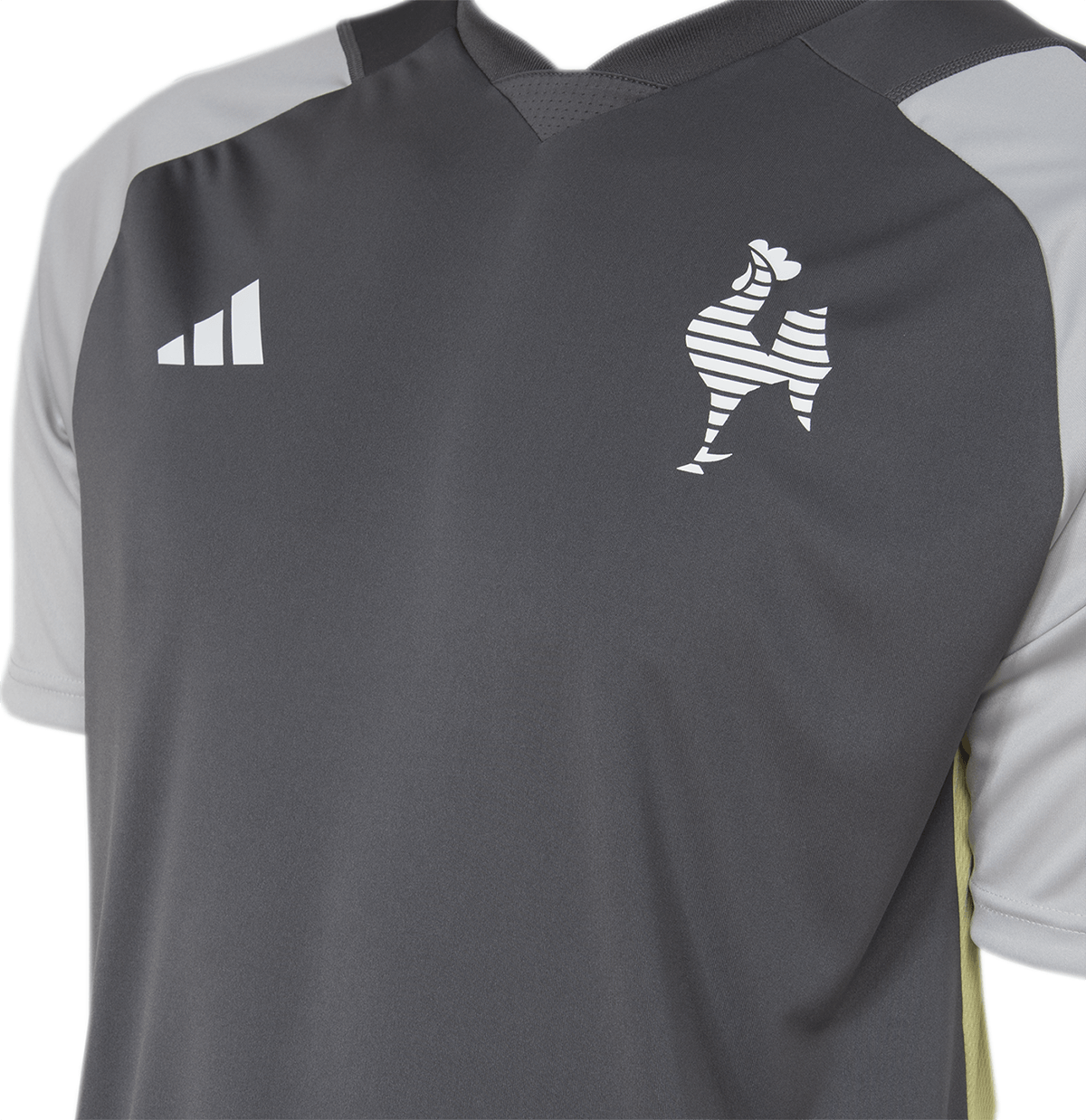 Camisa Atlético Mineiro Treino Comissão 24/25