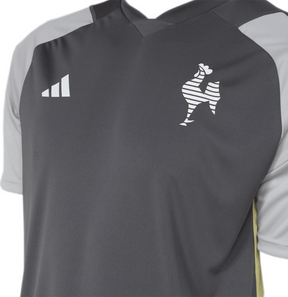 Camisa Atlético Mineiro Treino Comissão 24/25