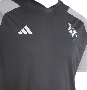 Camisa Atlético Mineiro Treino Comissão 24/25