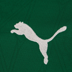 Palmeiras Home Fan Jersey 2025/26