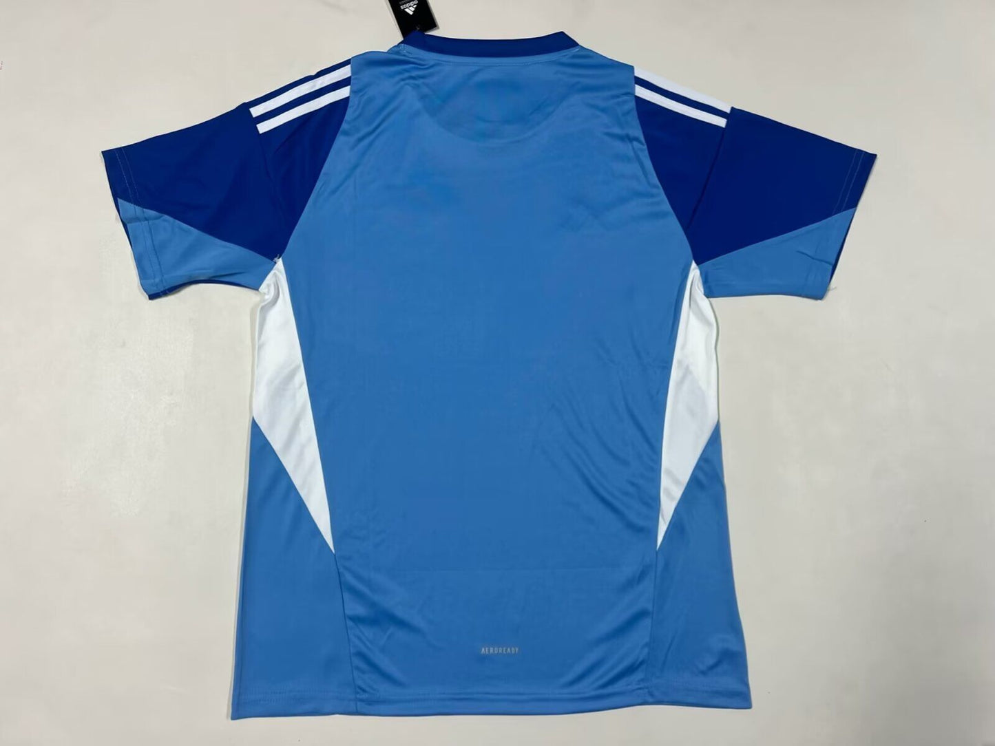 Venezuela 2025/26 home - Fan Version