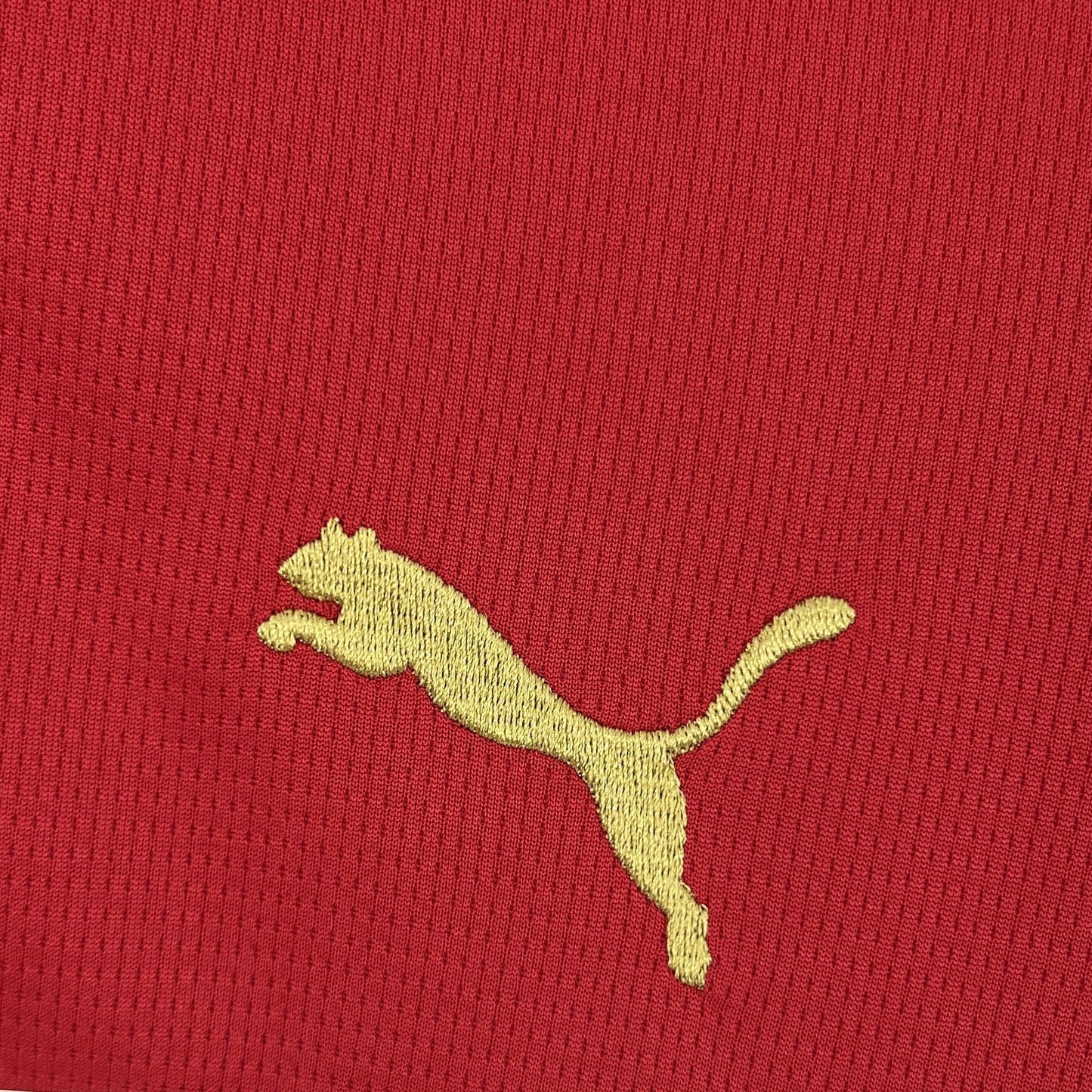Mens Morocco 2026 World Cup Home Jersey - Fan Version