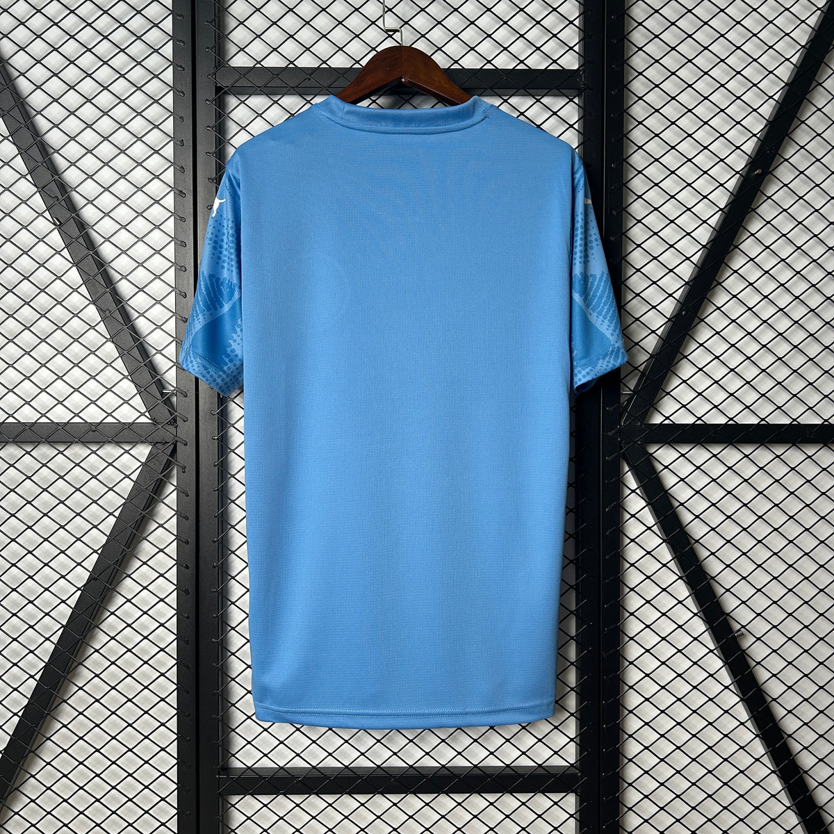 Palmeiras Goalkeeper 2025/26 - Blue Fan Version