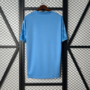 Palmeiras Goalkeeper 2025/26 - Blue Fan Version