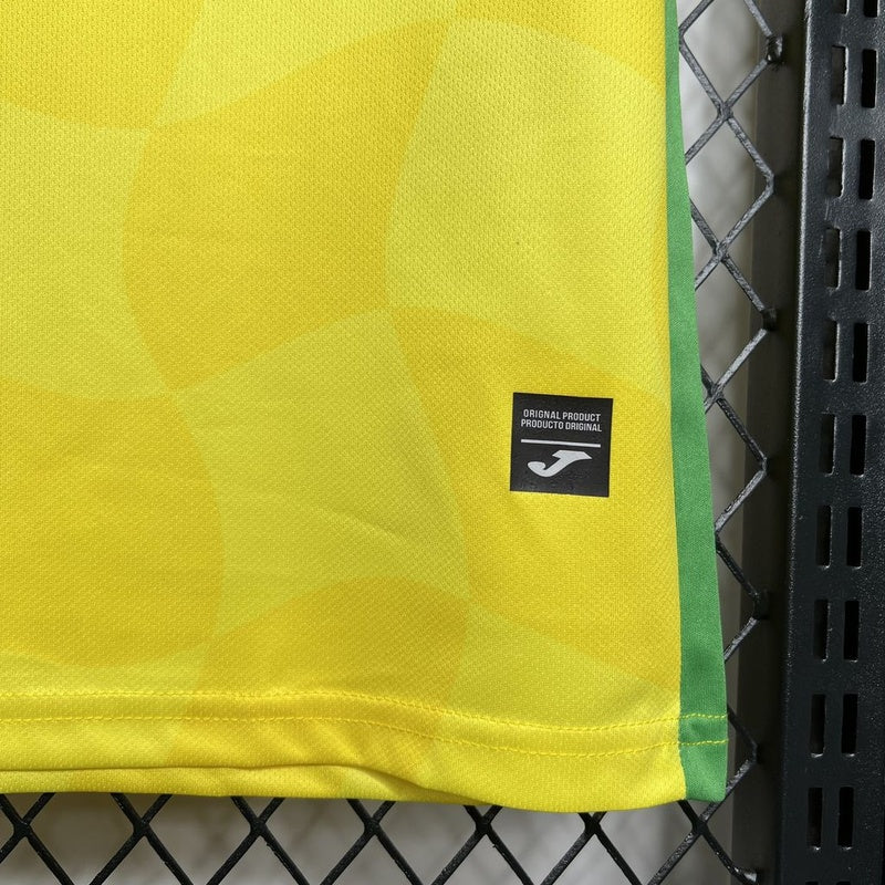 norwich-24-25-i-home-jersey-fan-version-6