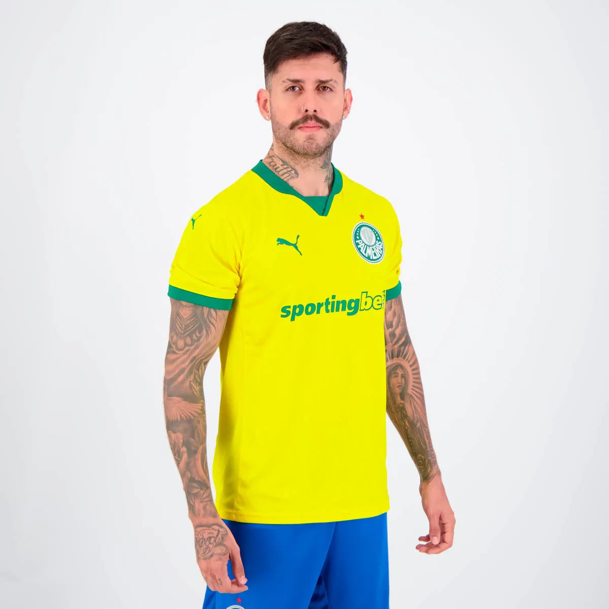 Puma Palmeiras 2025 Third Jersey - Fan Version