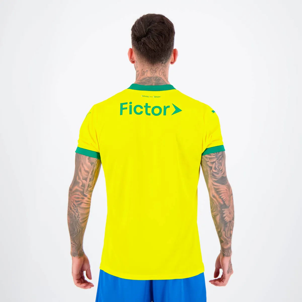 Puma Palmeiras 2025 Third Jersey - Fan Version