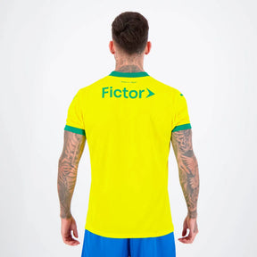 Puma Palmeiras 2025 Third Jersey - Fan Version